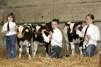 Leah, Josh and Hanna McCormick from Fintona getting ready to compete in the Young Handling Competition 